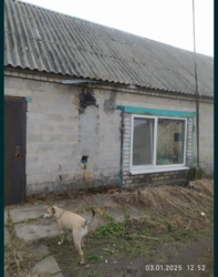 Продам три дома в домовладении / Баловка фото 11 Продам три дома в домовладении / Баловка фото 11