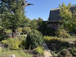 ������ ���� / ����� ���� 12