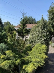 Продам 2Дома / р-н Строителей фото 19 Продам 2Дома / р-н Строителей фото 19
