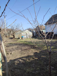 ������ ��� / ��������� ���� 19