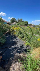 ������ ��� / ��������� �� ���� 15