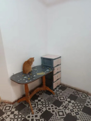 ������ 1/2 ����� ���� / ����� ���� 4