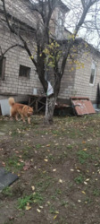 ������ ��� / ������������ ���� 4