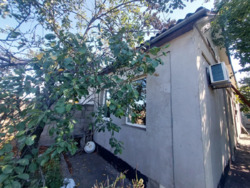 ������ ����� ���� / �-� ������� ������ ���� 15