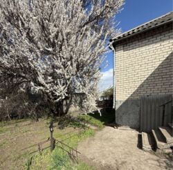 ������ ��� ���������! ���� 6