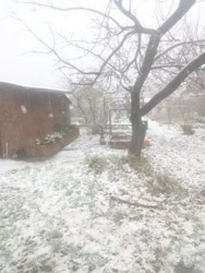 ������ ��� /������� ���� 12