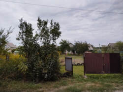 Продаж дачі в дачному масиві Олдиш фото 3 Продаж дачі в дачному масиві Олдиш фото 3