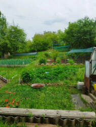 Продаж дачі у кооперативі 'Барвінок' (р-н аеропорту) фото 8 Продаж дачі у кооперативі 'Барвінок' (р-н аеропорту) фото 8