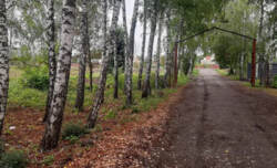 Продаж окремого будинку с.Косівщина фото 3 Продаж окремого будинку с.Косівщина фото 3