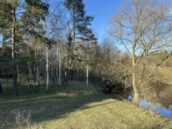 Продаж дачі р-н Баранівки кооператив Енергетик (р-н Баранівки) фото 10 Продаж дачі р-н Баранівки кооператив Енергетик (р-н Баранівки) фото 10