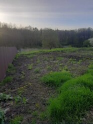 Продаж будинку + ЗЕМЕЛЬНА ДІЛЯНКА! с. Кононенкове ( 8 км від м. Суми) фото 2 Продаж будинку + ЗЕМЕЛЬНА ДІЛЯНКА! с. Кононенкове ( 8 км від м. Суми) фото 2