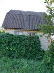 Продаж дачі на Олдиші кооператив 'Поліграф' фото 2 Продаж дачі на Олдиші кооператив 'Поліграф' фото 2