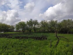 Продаж дачі р-н Роменської фото 2 Продаж дачі р-н Роменської фото 2