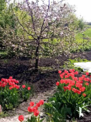 Продаж будинку с. Верхня Сироватка фото 2 Продаж будинку с. Верхня Сироватка фото 2