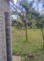 Продаж дачі смт Степанівка (5 хвилин по Білопільській трасі) фото 4 Продаж дачі смт Степанівка (5 хвилин по Білопільській трасі) фото 4