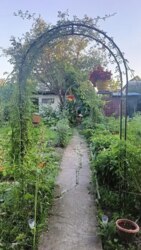 ������ ������� ������� � ���������������� ���������� (�-� ������� ����) ���� 6