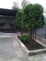 Продаж будинку вул.Білопільський Шлях фото 2 Продаж будинку вул.Білопільський Шлях фото 2