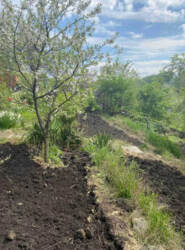 Продаж дачі. Садове товариство 'Барвінок' фото 6 Продаж дачі. Садове товариство 'Барвінок' фото 6