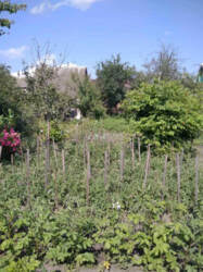 Продаж дачі в дачному масиві Олдиш фото 2 Продаж дачі в дачному масиві Олдиш фото 2