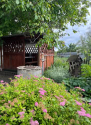 Продаж дачі мрії в кооперативі “Олдиш” фото 9 Продаж дачі мрії в кооперативі “Олдиш” фото 9