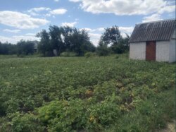 Продаж дачі смт Степанівка (5 хвилин по Білопільській трасі) фото 1 Продаж дачі смт Степанівка (5 хвилин по Білопільській трасі) фото 1