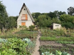 Продаж дачі у селі Новоселиця фото 1 Продаж дачі у селі Новоселиця фото 1