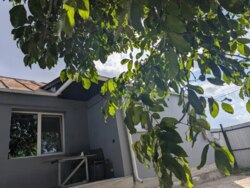 Продаж частини будинку вул. Василя Чаговця (р-н Хіммістечка) фото 1 Продаж частини будинку вул. Василя Чаговця (р-н Хіммістечка) фото 1