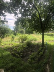 Продаж окремого будинку р-н Басів (біля ресторанного комплесу Фазенда) фото 4 Продаж окремого будинку р-н Басів (біля ресторанного комплесу Фазенда) фото 4