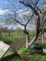 Продаж окремого будинку р-н Білопільської фото 5 Продаж окремого будинку р-н Білопільської фото 5