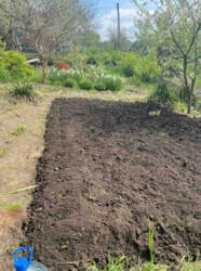 Продаж дачі. Садове товариство 'Барвінок' фото 7 Продаж дачі. Садове товариство 'Барвінок' фото 7