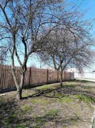 Продаж окремого будинку вул. Лісова (р-н Металургів) фото 2 Продаж окремого будинку вул. Лісова (р-н Металургів) фото 2