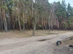 Продаж будинку р-н Баранівки фото 6 Продаж будинку р-н Баранівки фото 6