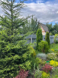 Продаж дачі мрії в кооперативі “Олдиш” фото 2 Продаж дачі мрії в кооперативі “Олдиш” фото 2