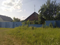 Продаж ділянки з будинком у с. Новоселиця фото 1 Продаж ділянки з будинком у с. Новоселиця фото 1