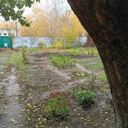 ������ ��������� ������� �-� ���. ������������� ������� ���� 8