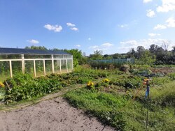 Продаж приватного будинку по вул. Мамаївщина (2-а Червоносільська) р-н Баси |Можна придбати за сертифікат єВідновлення фото 10 Продаж приватного будинку по вул. Мамаївщина (2-а Червоносільська) р-н Баси |Можна придбати за сертифікат єВідновлення фото 10