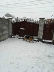 Продаж окремого будинку р-н Харківської фото 2 Продаж окремого будинку р-н Харківської фото 2