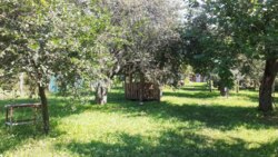 Продаж будинку В. Чернеччина вул.Монастирська фото 7 Продаж будинку В. Чернеччина вул.Монастирська фото 7