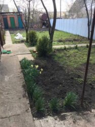 Продаж дачі. Садівниче товариство 'Кооператор' фото 9 Продаж дачі. Садівниче товариство 'Кооператор' фото 9