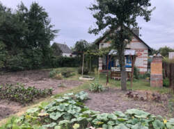 Продаж дачі р-н Баранівки фото 9 Продаж дачі р-н Баранівки фото 9