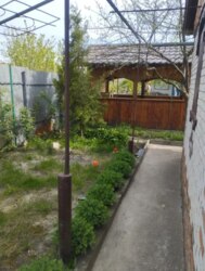 ЗНИЖЕННЯ ЦІНИ Продаж дачі в дачному масиві Олдиш фото 5 ЗНИЖЕННЯ ЦІНИ Продаж дачі в дачному масиві Олдиш фото 5