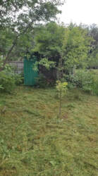 Продаж дачі в дачному масиві Олдиш фото 5 Продаж дачі в дачному масиві Олдиш фото 5