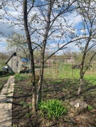 Продаж окремого будинку р-н Білопільської фото 6 Продаж окремого будинку р-н Білопільської фото 6