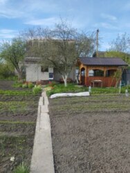ЗНИЖЕННЯ ЦІНИ Продаж дачі в дачному масиві Олдиш фото 4 ЗНИЖЕННЯ ЦІНИ Продаж дачі в дачному масиві Олдиш фото 4