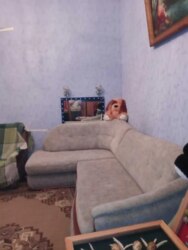 Продаж частини будинку вул. Дмитра Бортнянського (Робітнича) фото 6 Продаж частини будинку вул. Дмитра Бортнянського (Робітнича) фото 6