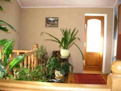 Продаж окремого 2-поверхового будинку з мансардою по вул. Сеченова (р-н 4 лікарні) фото 4 Продаж окремого 2-поверхового будинку з мансардою по вул. Сеченова (р-н 4 лікарні) фото 4