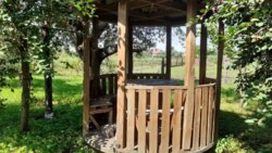 Продаж будинку В. Чернеччина вул.Монастирська фото 10 Продаж будинку В. Чернеччина вул.Монастирська фото 10