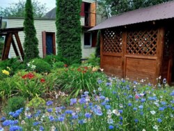 Продаж двоповерхової дачі в кооперативі Олдиш - для поціновувачів затишку і тиші фото 10 Продаж двоповерхової дачі в кооперативі Олдиш - для поціновувачів затишку і тиші фото 10