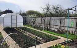 ���������� ����� ���� ����� ������� �� ����� ����� ���� 2