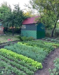 Продаж дачі. Садівниче товариство 'Кооператор' фото 8 Продаж дачі. Садівниче товариство 'Кооператор' фото 8